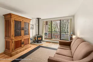 236 Vine St, Aspen, CO 81611 - Photo 5