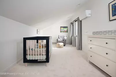 450 Solar Way, Aspen, CO 81611 - Photo 33