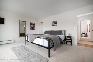 450 Solar Way, Aspen, CO 81611 - Photo 27