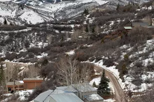 450 Solar Way, Aspen, CO 81611 - Photo 49