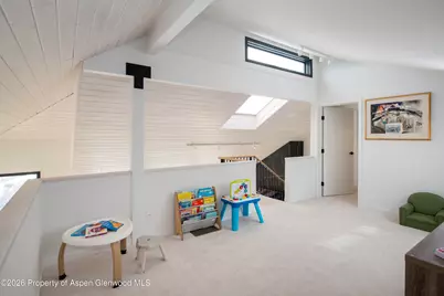 450 Solar Way, Aspen, CO 81611 - Photo 11