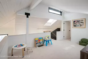 450 Solar Way, Aspen, CO 81611 - Photo 11