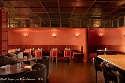 308 E Hopkins Avenue #Ll1, Aspen, CO 81611 - Photo 7
