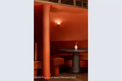 308 E Hopkins Avenue #Ll1, Aspen, CO 81611 - Photo 11