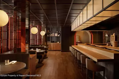308 E Hopkins Avenue #Ll1, Aspen, CO 81611 - Photo 15