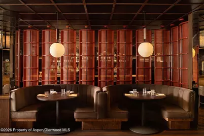 308 E Hopkins Avenue #Ll1, Aspen, CO 81611 - Photo 3