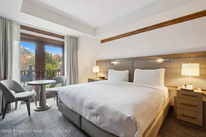 415 E Dean St., Unit 36, Weeks 5 & 6, Aspen, CO 81611 - Photo 17