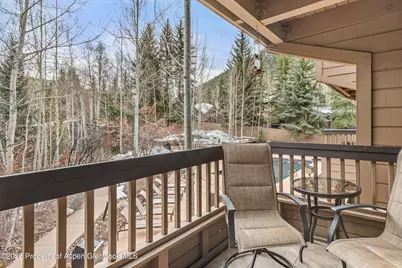 610 S West End Street #G202, Aspen, CO 81611 - Photo 15