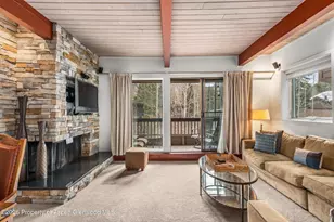 610 S West End St, Aspen, CO 81611 - Photo 17