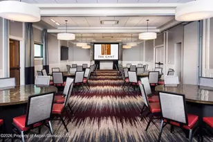 610 S West End St, Aspen, CO 81611 - Photo 11