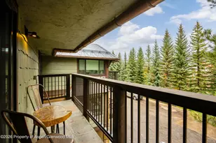 650 S Monarch St, Aspen, CO 81611 - Photo 25