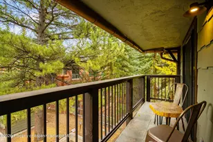 650 S Monarch St, Aspen, CO 81611 - Photo 23