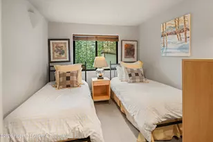 650 S Monarch St, Aspen, CO 81611 - Photo 15