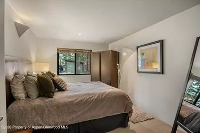 650 S Monarch Street #9, Aspen, CO 81611 - Photo 11