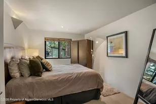 650 S Monarch St, Aspen, CO 81611 - Photo 11