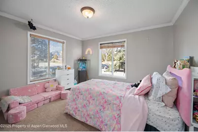 1617 W 7th Street, Rifle, CO 81650 - Photo 13