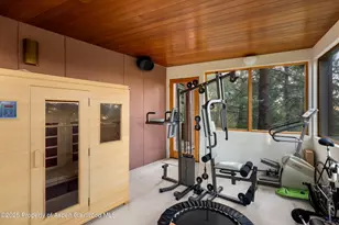 505 Wildcat Vista, Snowmass Village, CO 81615 - Photo 71