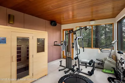 505 Wildcat Vista, Snowmass Village, CO 81615 - Photo 73