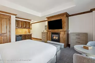 415 E Dean St Unit 29 Week 5, Aspen, CO 81611 - Photo 31