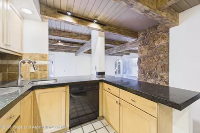 651 S Monarch Street #104, Aspen, CO 81611 - Photo 7