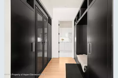 372 Sunnyside Lane, Aspen, CO 81611 - Photo 47