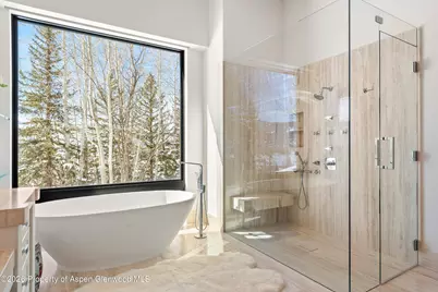 372 Sunnyside Lane, Aspen, CO 81611 - Photo 15