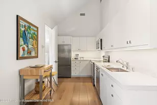 372 Sunnyside Ln, Aspen, CO 81611 - Photo 35