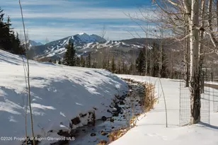 372 Sunnyside Ln, Aspen, CO 81611 - Photo 67