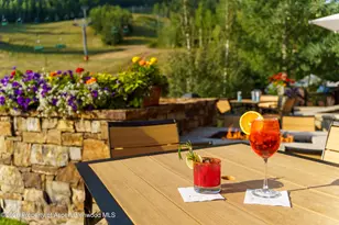 39 Boomerang Rd, Aspen, CO 81611 - Photo 33