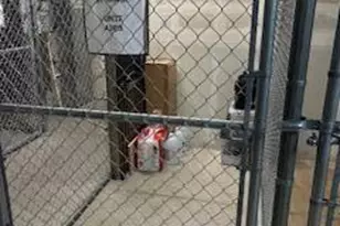 501 W Main St, Aspen, CO 81611 - Photo 13