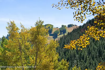 501 W Main Street #A203, Aspen, CO 81611 - Photo 11