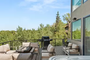 257 Mountain Laurel Dr, Aspen, CO 81611 - Photo 31