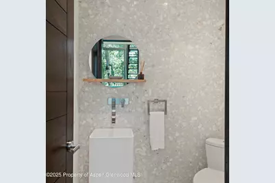 257 Mountain Laurel Drive, Aspen, CO 81611 - Photo 47