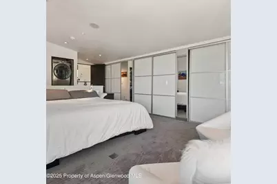 257 Mountain Laurel Drive, Aspen, CO 81611 - Photo 37