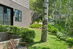 257 Mountain Laurel Dr, Aspen, CO 81611 - Photo 57