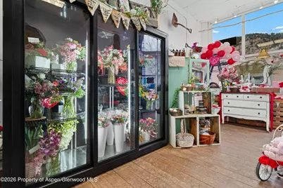 303 W Main Street, New Castle, CO 81647 - Photo 5