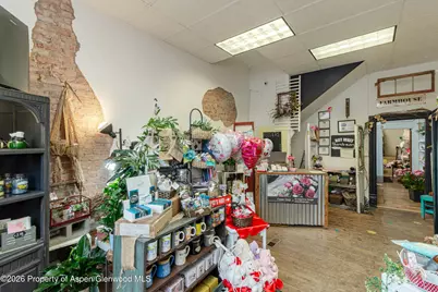 303 W Main Street, New Castle, CO 81647 - Photo 17