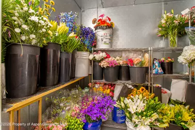 303 W Main Street, New Castle, CO 81647 - Photo 11