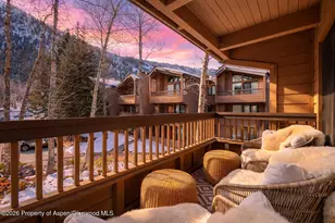 610 S West End St, Aspen, CO 81611 - Photo 9