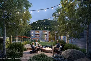 610 S West End St, Aspen, CO 81611 - Photo 17