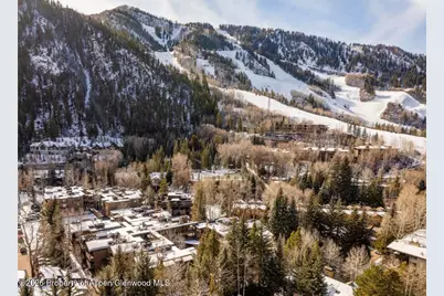 610 S West End Street #D201, Aspen, CO 81611 - Photo 13