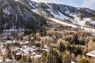 610 S West End St, Aspen, CO 81611 - Photo 13