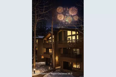 610 S West End Street #D201, Aspen, CO 81611 - Photo 19