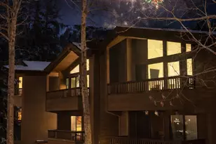 610 S West End St, Aspen, CO 81611 - Photo 19