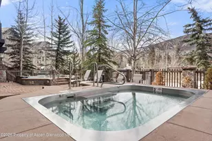 110 Carriage Way, Snowmass Village, CO 81615 - Photo 15