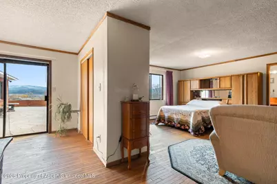 284 Panoramic Drive, Silt, CO 81652 - Photo 17