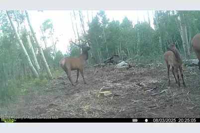 Tbd County Road 11, Craig, CO 81625 - Photo 15