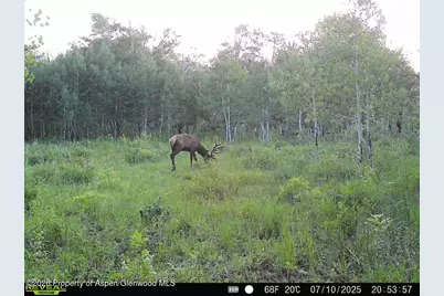 Tbd County Road 11, Craig, CO 81625 - Photo 13