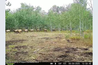 Tbd County Road 11, Craig, CO 81625 - Photo 3