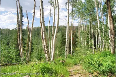 Tbd County Road 11, Craig, CO 81625 - Photo 29